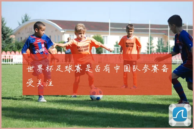 世界杯足球赛是否有中国队参赛备受关注