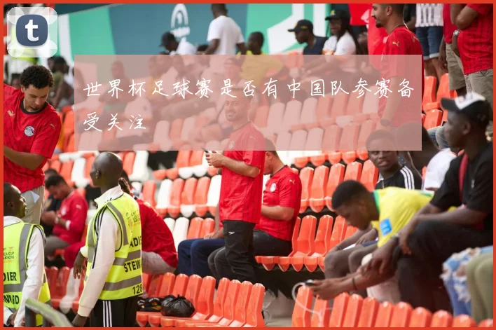 世界杯足球赛是否有中国队参赛备受关注