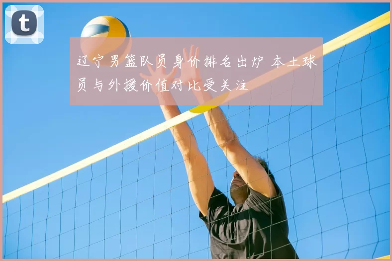 辽宁男篮队员身价排名出炉 本土球员与外援价值对比受关注