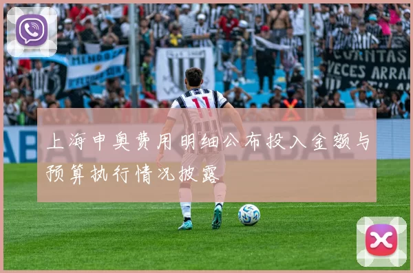 上海申奥费用明细公布投入金额与预算执行情况披露